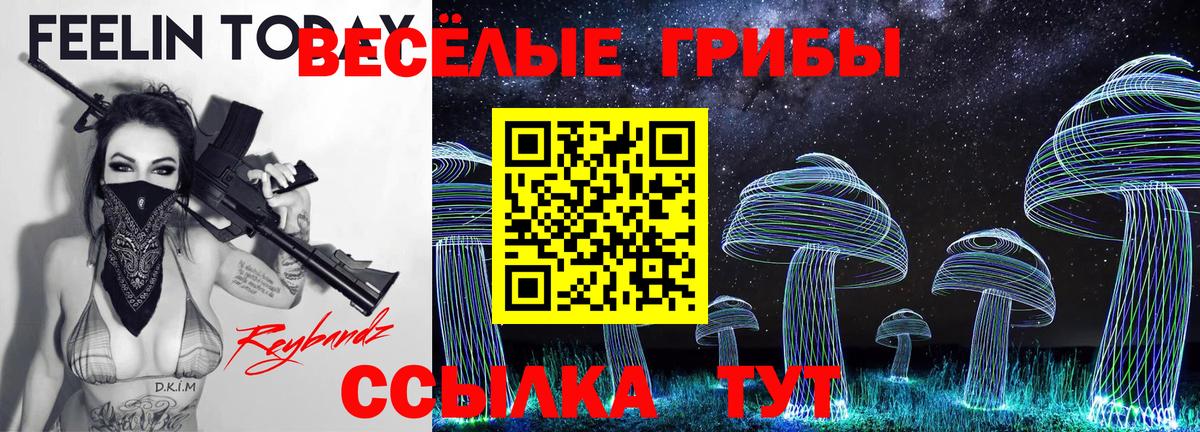 Касимов  Галлюциногенные грибы Psilocybine cubensis  хочу   Вход с VPN  Галлюциногенные грибы прущие грибы 